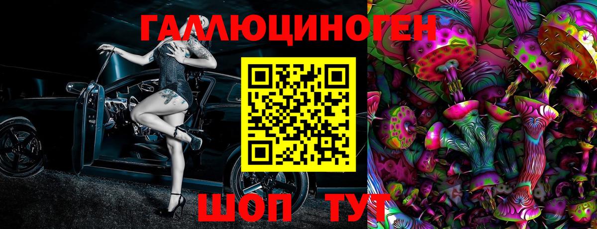 Псилоцибиновые грибы Канск