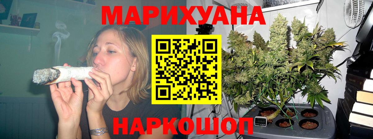 Каннабис планчик  Канск  Каннабис VHQ 